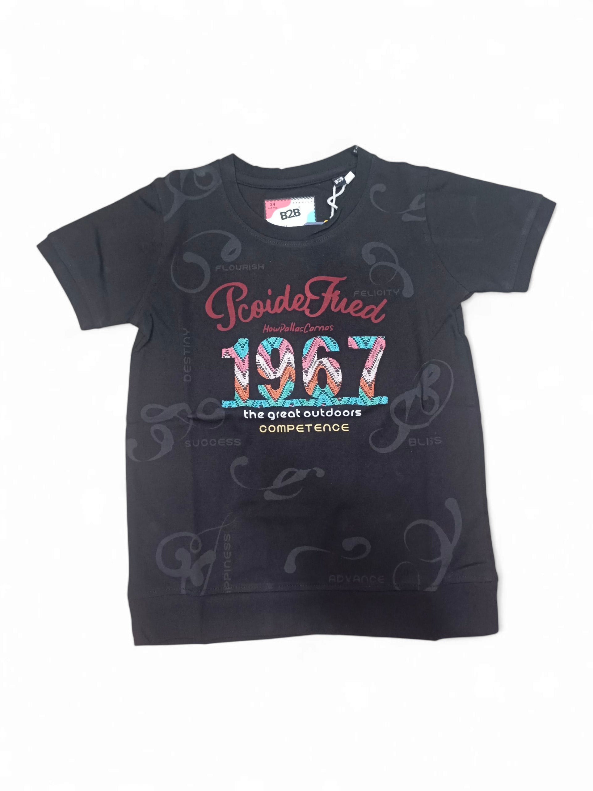 BHC TS 24-24 (4 to 5 years) BHC TS 24-24 (4 to 5 years)